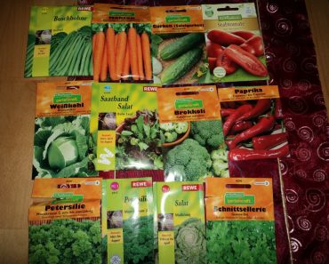 Cuaca Cerah, Mari Berkebun