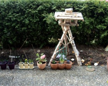 Update My Garden Berkebun di Jerman