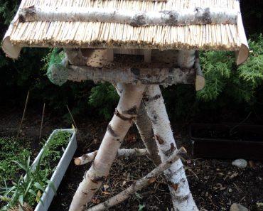 Rumah Burung di Taman Kecil Kami