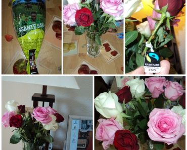 Fairtrade-Rose