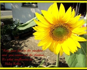 Si Kuning Nan Cantik