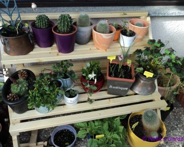 Selesainya Proyek Membuat Rak Bunga