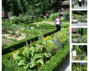 We Really Love Garden