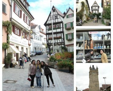 Penghujung Oktober 2012 Kedatangan Teman Indonesia dan Kebun