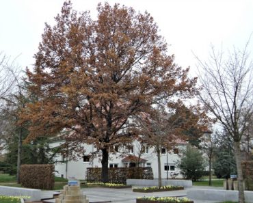 Ini Foto Favorit saya