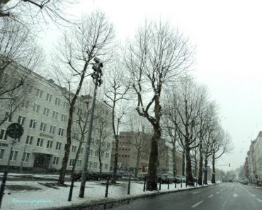 Pemandangan di Pusat Kota Mannheim