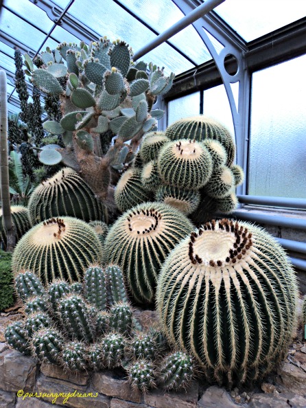 Jalan-jalan ke Wilhelma Stuttgart