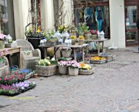 Contoh Toko Bunga di Jerman