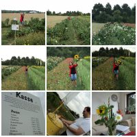 Beberapa Lokasi Membeli Bunga di Jerman