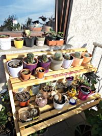 6 Hal yang Membuat saya Frustasi