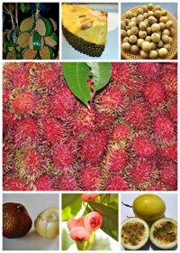 Buah-buahan ini Belum Pernah saya Lihat di Jerman