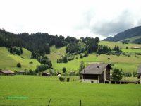 Video Perjalanan Keluar Zweisimmen, Switzerland
