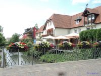 Saya suka dengan Penataan Bunga-bunga di Jalanan