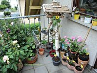 Update Kebun Musim Panas