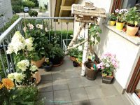 Apakah Kamu Punya Life Companion?