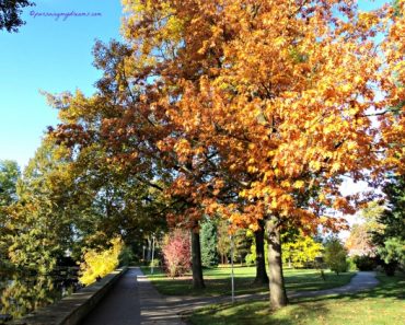 Bahagia Ngeblog itu, Saat ..