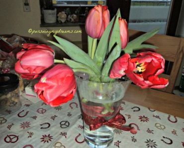 Tenang saja solasi penyangga tidak terlihat ko, kecuali di amati dari jarak sangat dekat