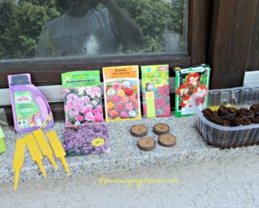 Balkon Depan Mulai Menghijau