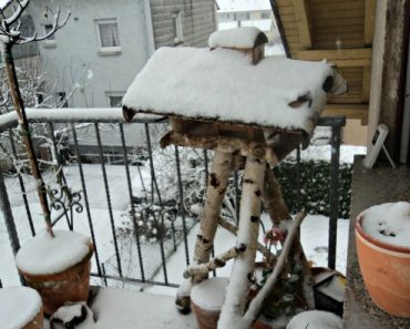 Yang Harus dilakukan Saat Cuaca Dingin