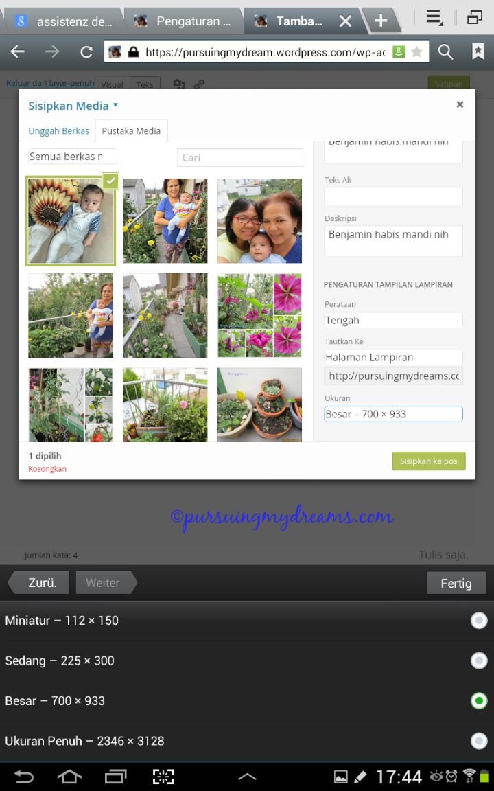 Memaksimalkan Wordads Pada Foto Blog