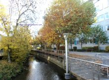 Random Dibuang Sayang – Musim Gugur