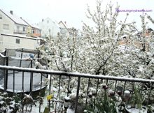 Ko bisa sih Salju di Akhir April loh?