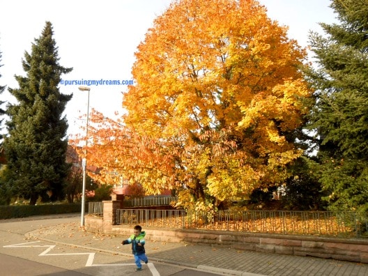 Cerita Musim Gugur 2016 – Late Post