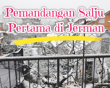 Salju yang Datang lebih Awal