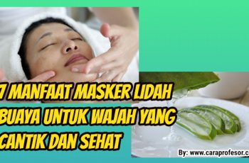 7 Manfaat Masker Lidah Buaya Untuk Wajah yang Cantik dan Sehat