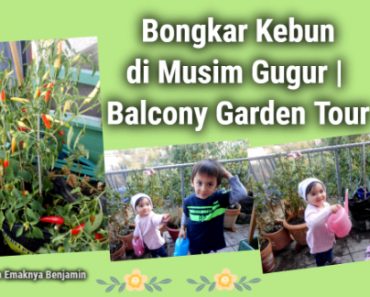 Bongkar Kebun di Musim Gugur | Balcony Garden Tour