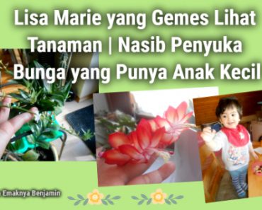 Begini Nasib Penyuka Bunga yang Punya Anak Kecil