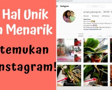 10 Hal Unik dan Menarik Kutemukan di Instagram