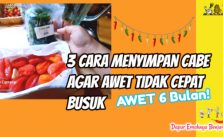 3 Cara Menyimpan Cabe Agar Tidak Cepat Busuk Awet 6 Bulan