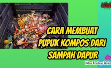 Cara Membuat Pupuk Kompos dari Sampah Dapur