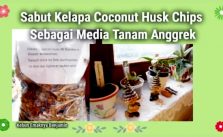 Bikin Subur Media Anggrek Coco Chip dari Sabut Kelapa