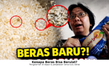 Kenapa Beras Bisa Berulat? Pengalaman di Dapur dan Penjelasan Tentang Larva Kutu Beras